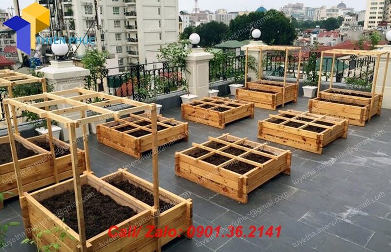 chuyen lam khay go trong rau hcm