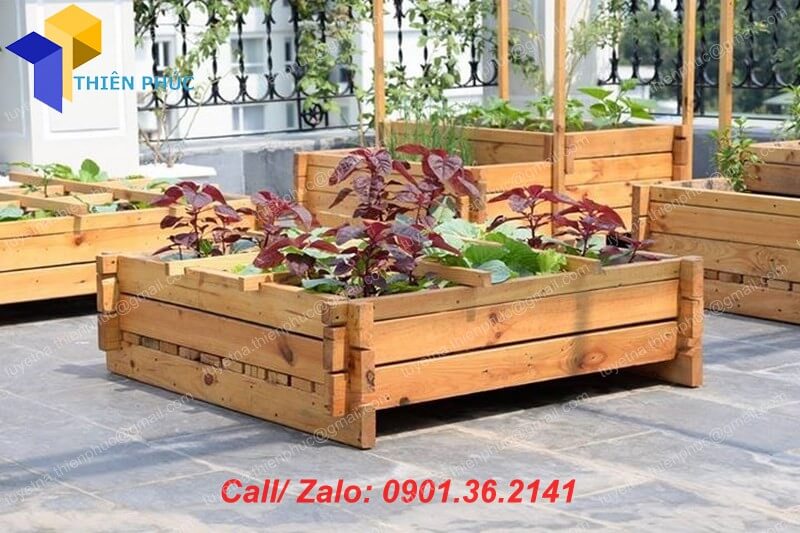 cung cap khay go trong rau hcm