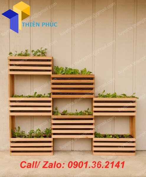 lam khay go trong rau gia re