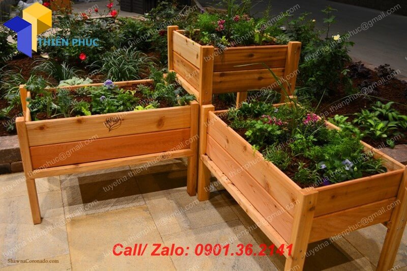 san xuat khay go trong rau gia re