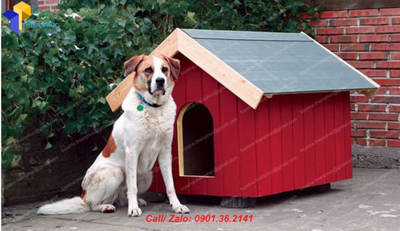 Những mẫu nhà nuôi chó đẹp làm bằng gỗ pallet